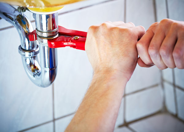 About Paradise Inn Plumbers